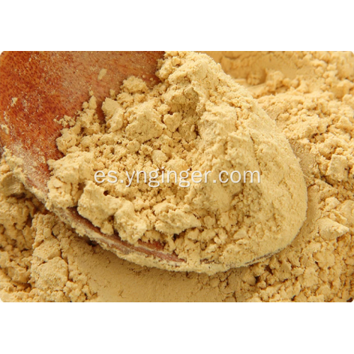 Polvo de jengibre molido tostado Good Benefit World Spice